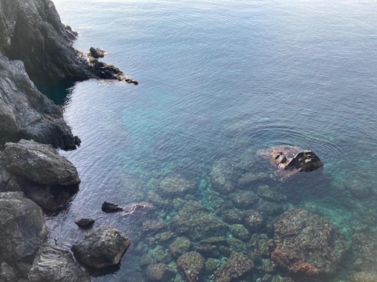 La Gemma Di Monterosso, In Centro Vicino Al Mare Apartment Monterosso al Mare Ngoại thất bức ảnh